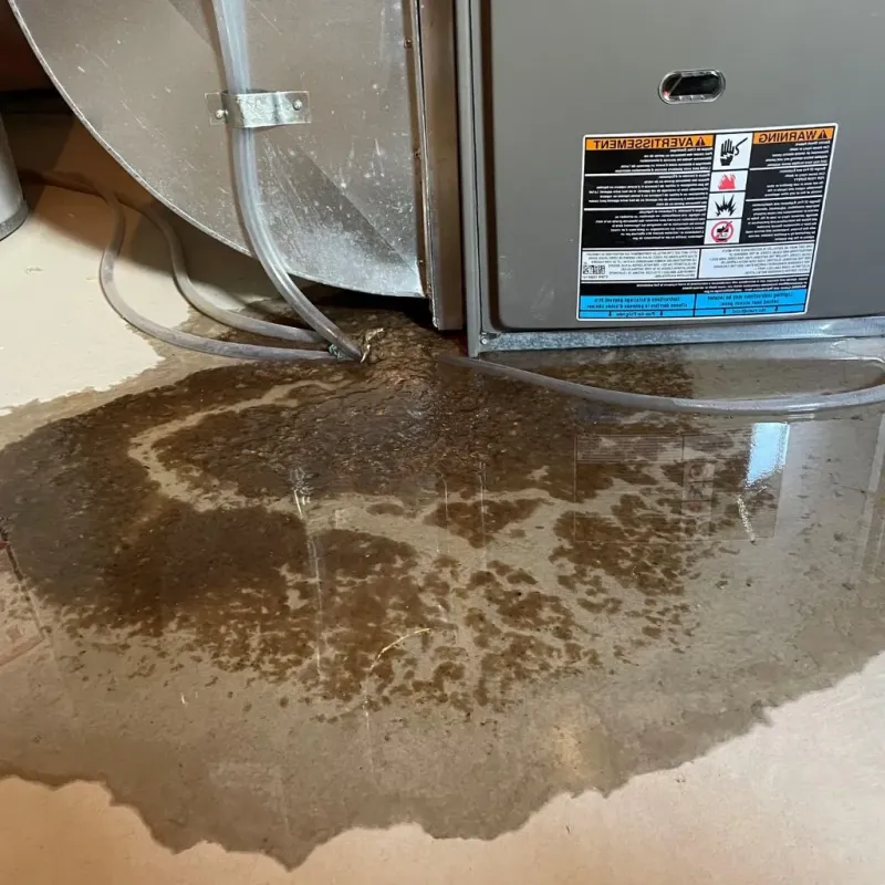 Pipe Burst and Leak Restoration in Gilpin County, CO